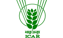 ICAR