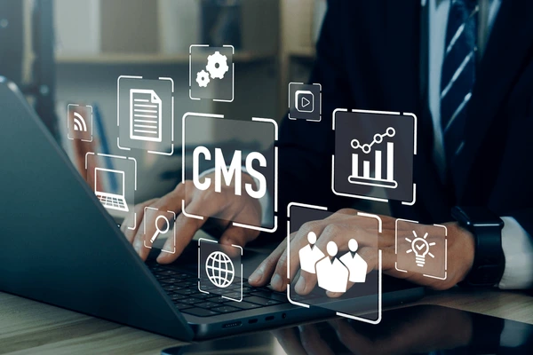 cms content management system2
